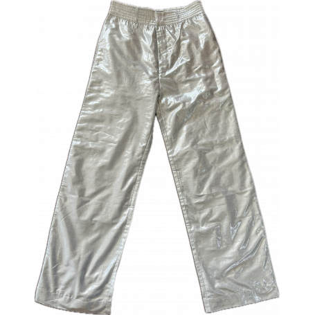 Pantalon Pepa Silver Metal Bérénice T34